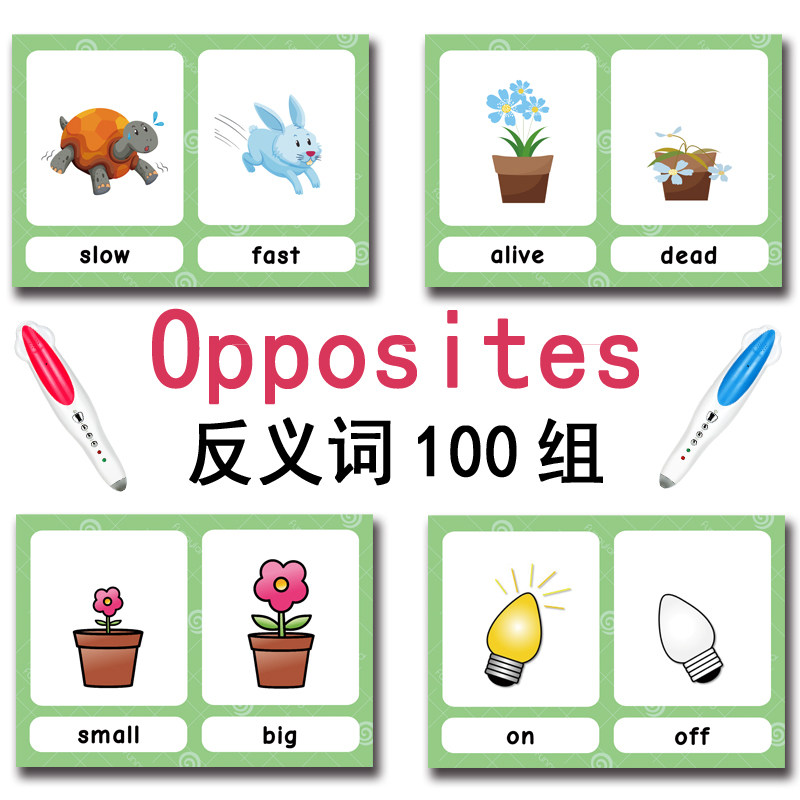 Tarjetas de memoria con 100 gr - Kids Education In Us reseña y precio